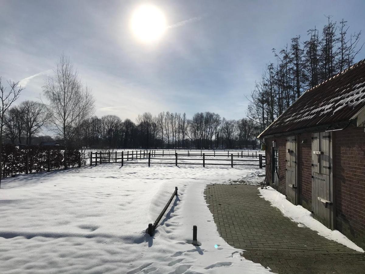 Вилла 4Seasonshouse Лоссер Экстерьер фото